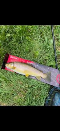 Jossa (Bad Soden-Salmünster)