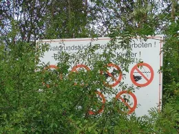 Kiesgrube bei Sonneberg