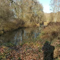 Hunte-Altarm Bahndamm