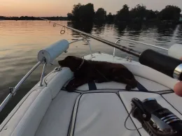 Havel (Berlin-Tegelort)-2