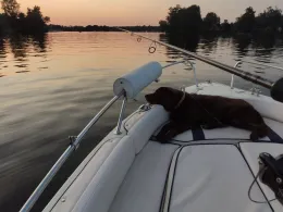 Havel (Berlin-Tegelort)-1