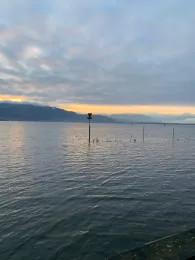 Bodensee (Lindau)