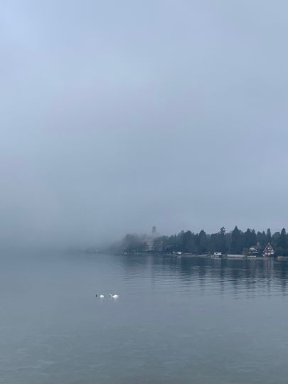 Bodensee (Lindau)-4