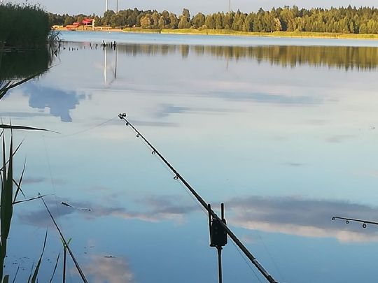 Mondsee Pirkau (Hohenmölsen) angeln