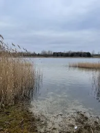 Mondsee Pirkau (Hohenmölsen)-3