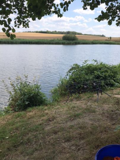 Flachstau Kleindittmannsdorf-3