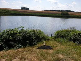 Flachstau Kleindittmannsdorf-1