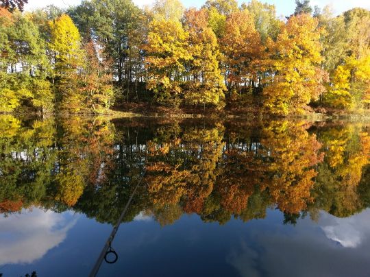 Flachstau Kleindittmannsdorf-4