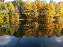 Flachstau Kleindittmannsdorf-4