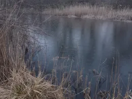 Ziegeleiteiche Grevesmühlen