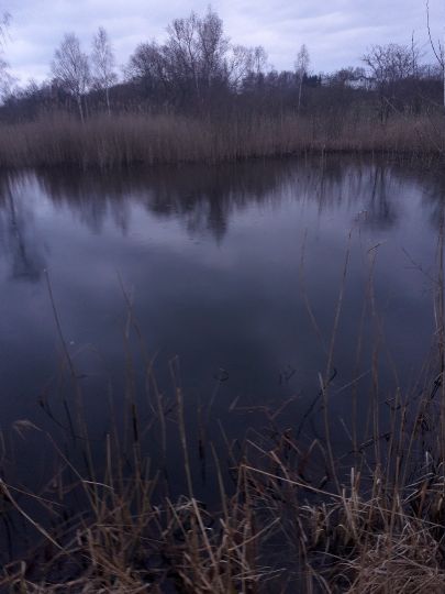 Ziegeleiteiche Grevesmühlen-1