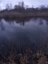 Ziegeleiteiche Grevesmühlen-1