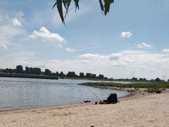 Rhein (Uerdingen)-2