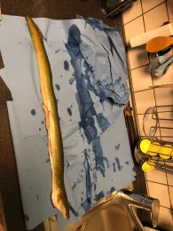 Dortmund-Ems-Kanal (Dortmund)-2