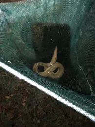 Dortmund-Ems-Kanal (Dortmund)