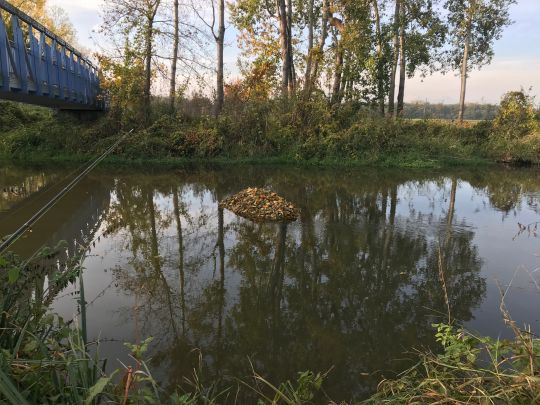 Kleine Laber (Atting)-2