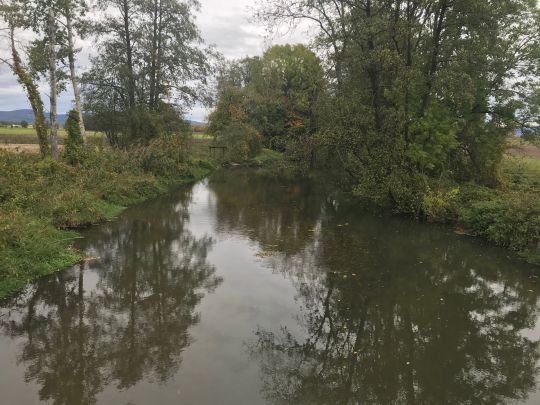 Kleine Laber (Atting)-4