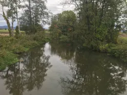 Kleine Laber (Atting)-4