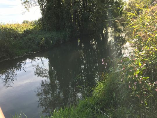 Kleine Laber (Atting)-1