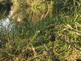 Kleine Laber (Atting)-3