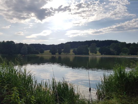 Hahnenkammsee (Hechlingen)-2