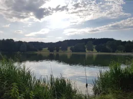 Hahnenkammsee (Hechlingen)-2