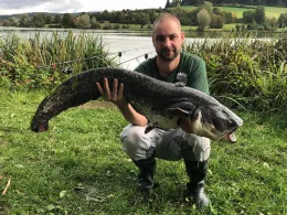Hahnenkammsee (Hechlingen)