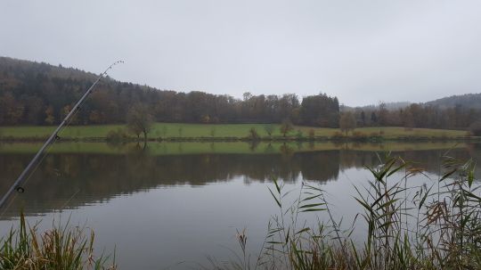 Hahnenkammsee (Hechlingen)-3