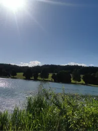 Hahnenkammsee (Hechlingen)-1