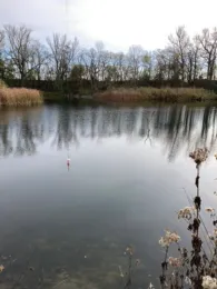 Parkteich (Üllnitz)-2