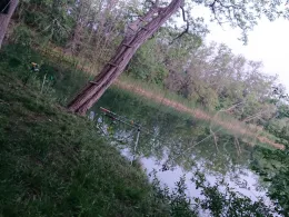 Parkteich (Üllnitz)-1