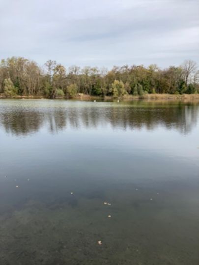 Parkteich (Üllnitz)-3