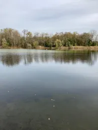 Parkteich (Üllnitz)-3