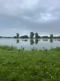 Dau See (Teichanlage Offenseth)-1