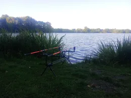 Dau See (Teichanlage Offenseth)-1
