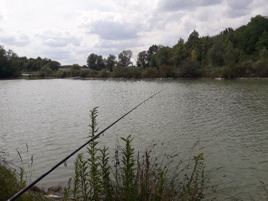 Phönixsee (Beckum)