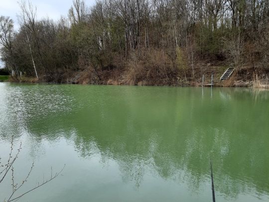 Phönixsee (Beckum)-4