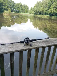 Mühlenteich (Bad Düben)