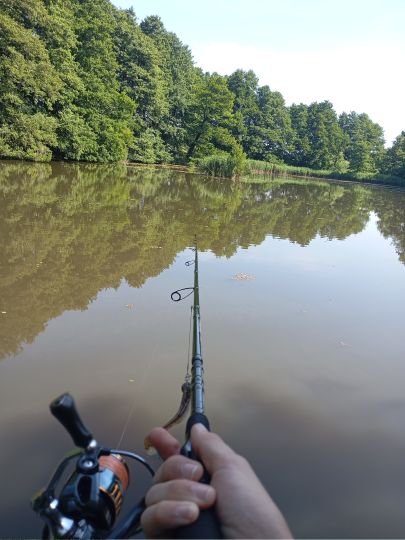Mühlenteich (Bad Düben)-2