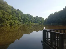 Mühlenteich (Bad Düben)-4