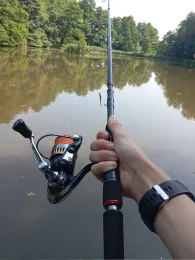 Mühlenteich (Bad Düben)-1