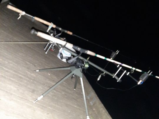 Karpfenteiche Perleberg-3