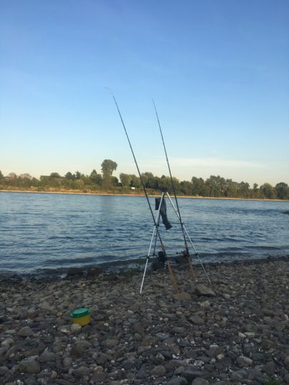 Rhein (Neuss-Uedesheim)-1