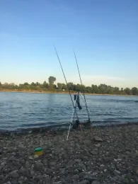 Rhein (Neuss-Uedesheim)-1