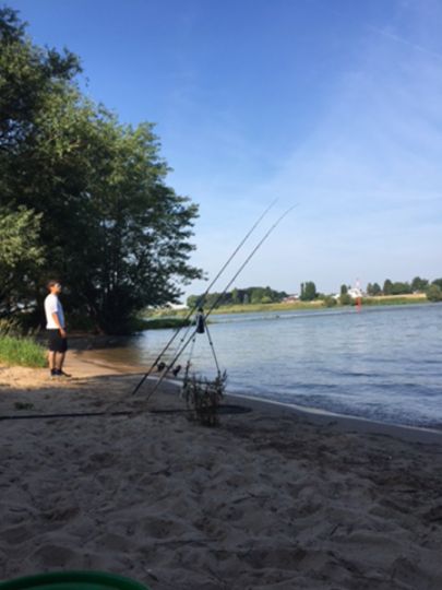 Rhein (Neuss-Uedesheim)-2