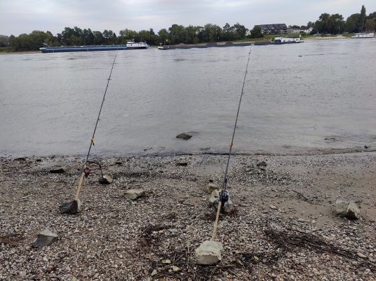 Rhein (Neuss-Uedesheim)-4