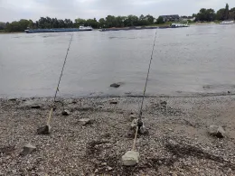 Rhein (Neuss-Uedesheim)-4