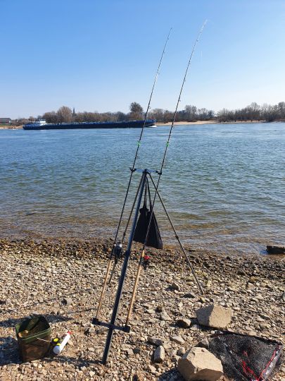 Rhein (Neuss-Uedesheim)-3