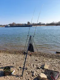 Rhein (Neuss-Uedesheim)-3