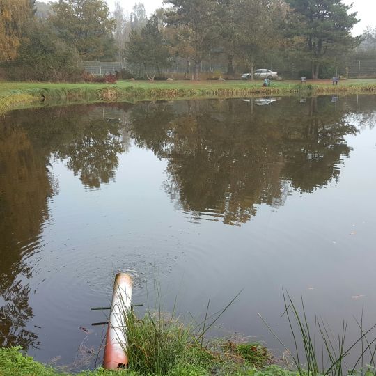 Forellenfarm Auetal